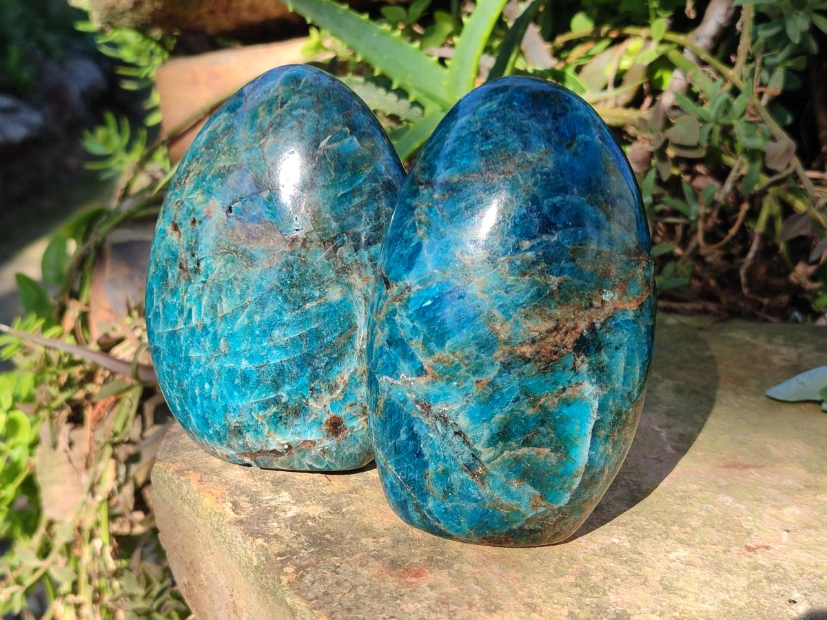 Polished Blue Apatite Standing Display Pieces x 4 From Betroka, Madagascar - Toprock Gemstones and Minerals 