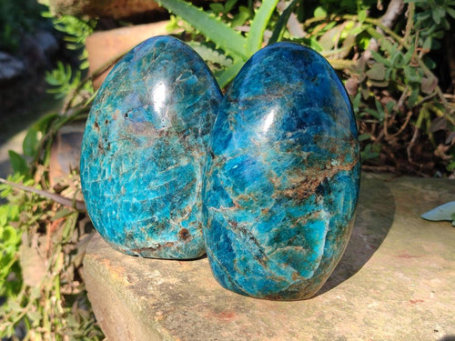 Polished Blue Apatite Standing Display Pieces x 4 From Betroka, Madagascar - Toprock Gemstones and Minerals 
