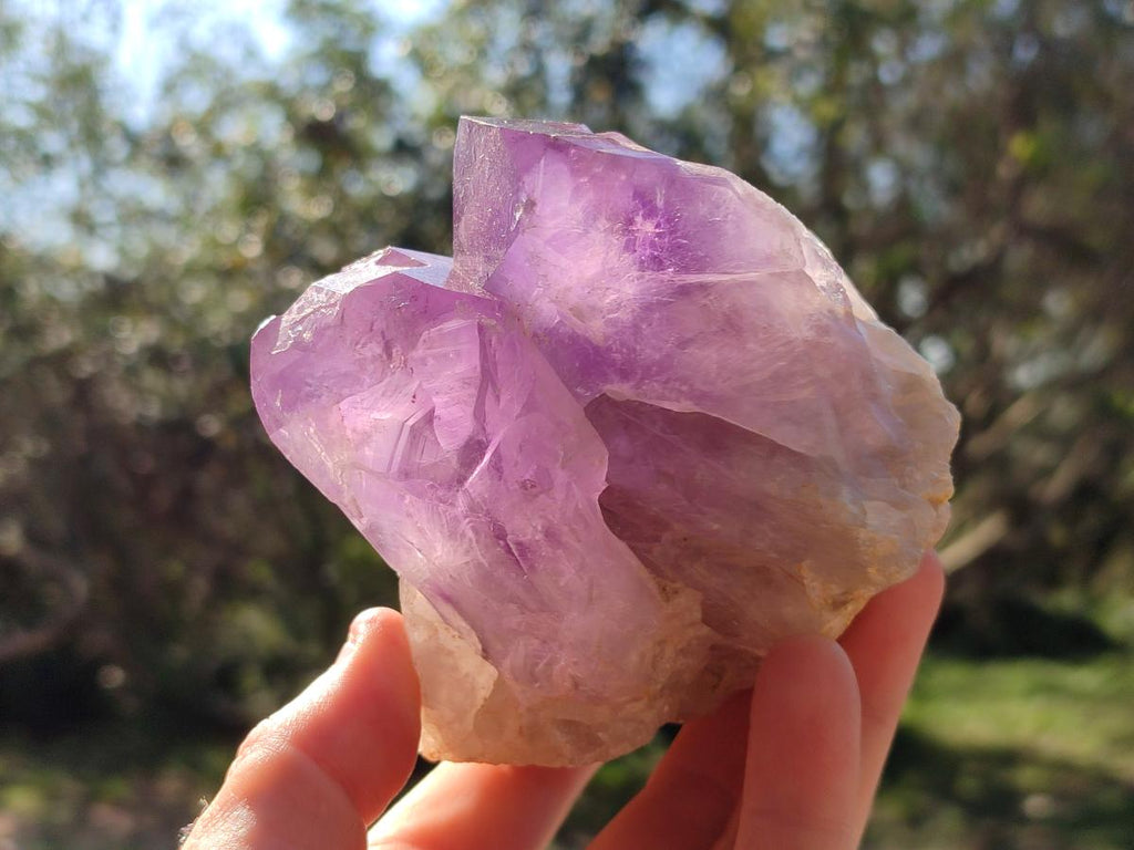 Natural Jacaranda Amethyst Clusters x 3 From Mumbwa, Zambia - Toprock Gemstones and Minerals 