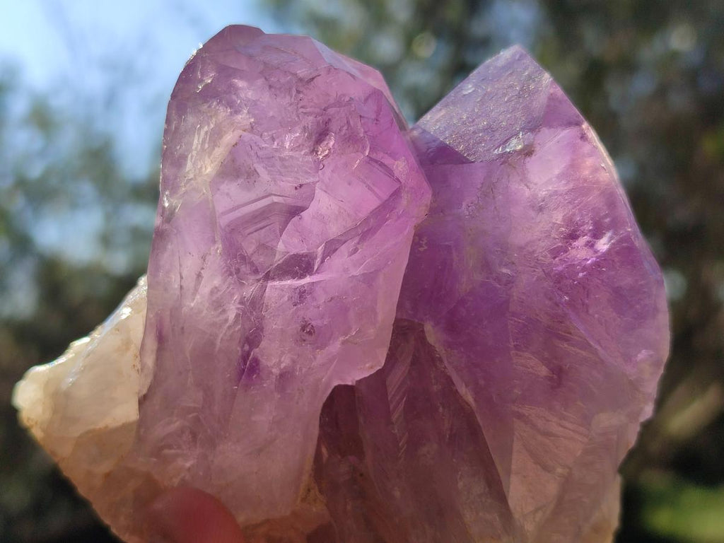 Natural Jacaranda Amethyst Clusters x 3 From Mumbwa, Zambia - Toprock Gemstones and Minerals 