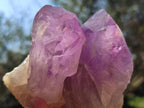 Natural Jacaranda Amethyst Clusters x 3 From Mumbwa, Zambia - Toprock Gemstones and Minerals 