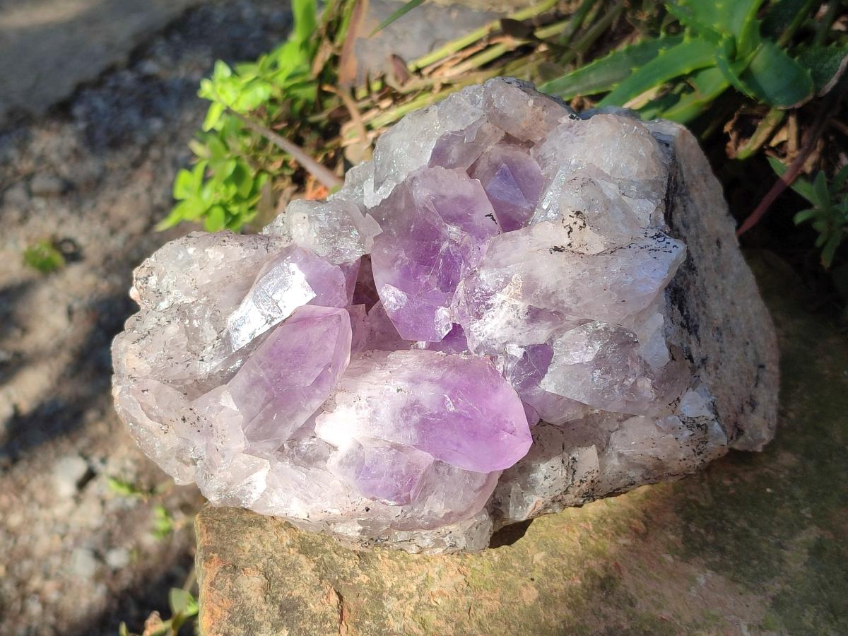 Natural Jacaranda Amethyst Clusters x 3 From Mumbwa, Zambia - Toprock Gemstones and Minerals 