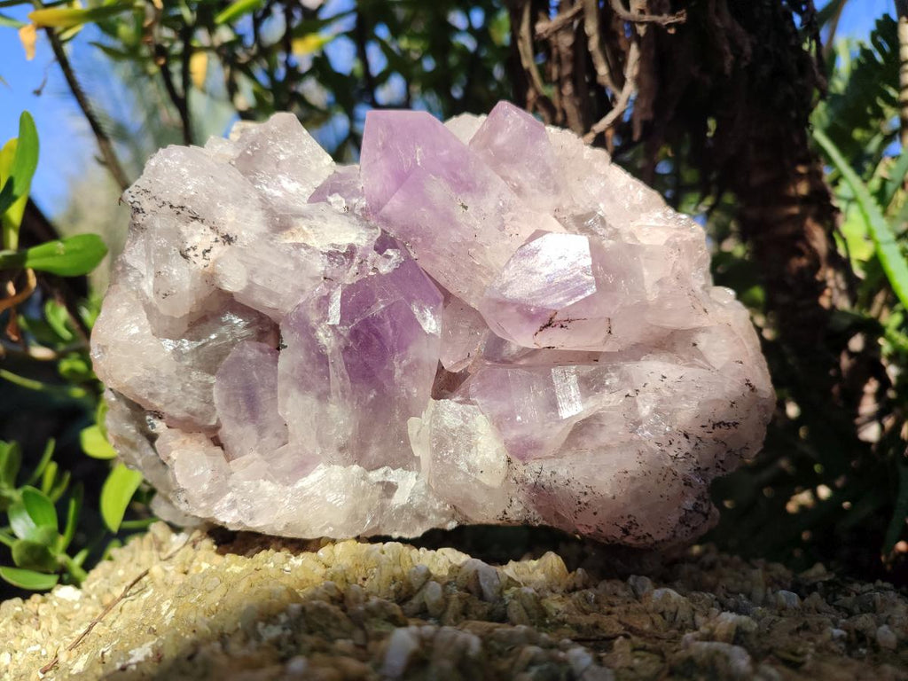 Natural Jacaranda Amethyst Clusters x 3 From Mumbwa, Zambia - Toprock Gemstones and Minerals 