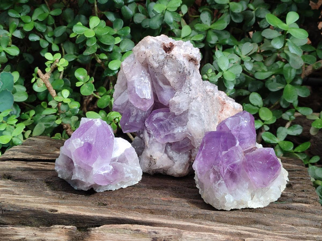 Natural Jacaranda Amethyst Clusters x 3 From Mumbwa, Zambia - Toprock Gemstones and Minerals 
