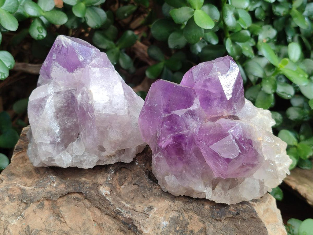 Natural Jacaranda Amethyst Clusters x 3 From Mumbwa, Zambia - Toprock Gemstones and Minerals 