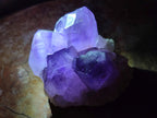 Natural Jacaranda Amethyst Clusters x 3 From Mumbwa, Zambia - Toprock Gemstones and Minerals 