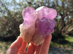 Natural Jacaranda Amethyst Clusters x 3 From Mumbwa, Zambia - Toprock Gemstones and Minerals 