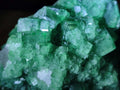 Natural Green Cubic Fluorite Specimens x 4 From Mandrosonoro, Madagascar - Toprock Gemstones and Minerals 