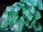Natural Green Cubic Fluorite Specimens x 4 From Mandrosonoro, Madagascar - Toprock Gemstones and Minerals 