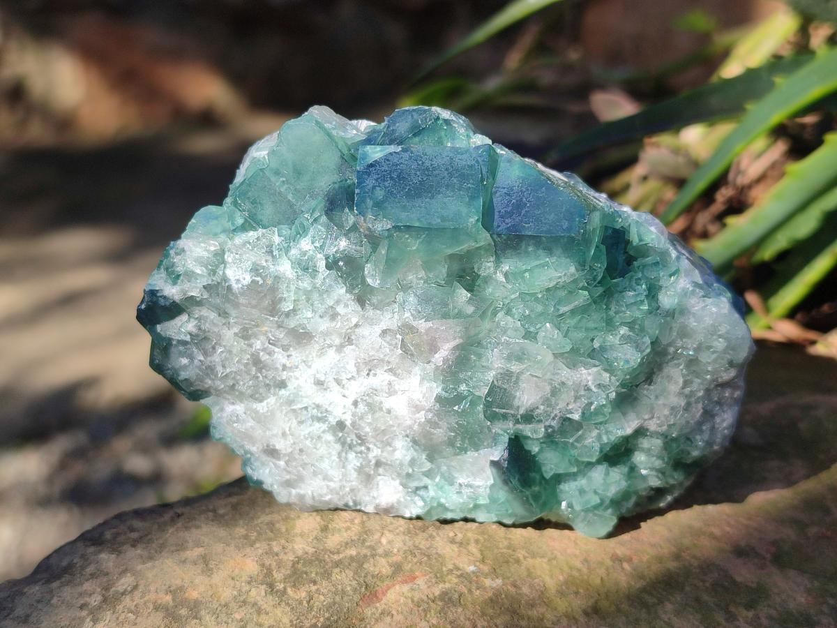 Natural Green Cubic Fluorite Specimens x 4 From Mandrosonoro, Madagascar - Toprock Gemstones and Minerals 