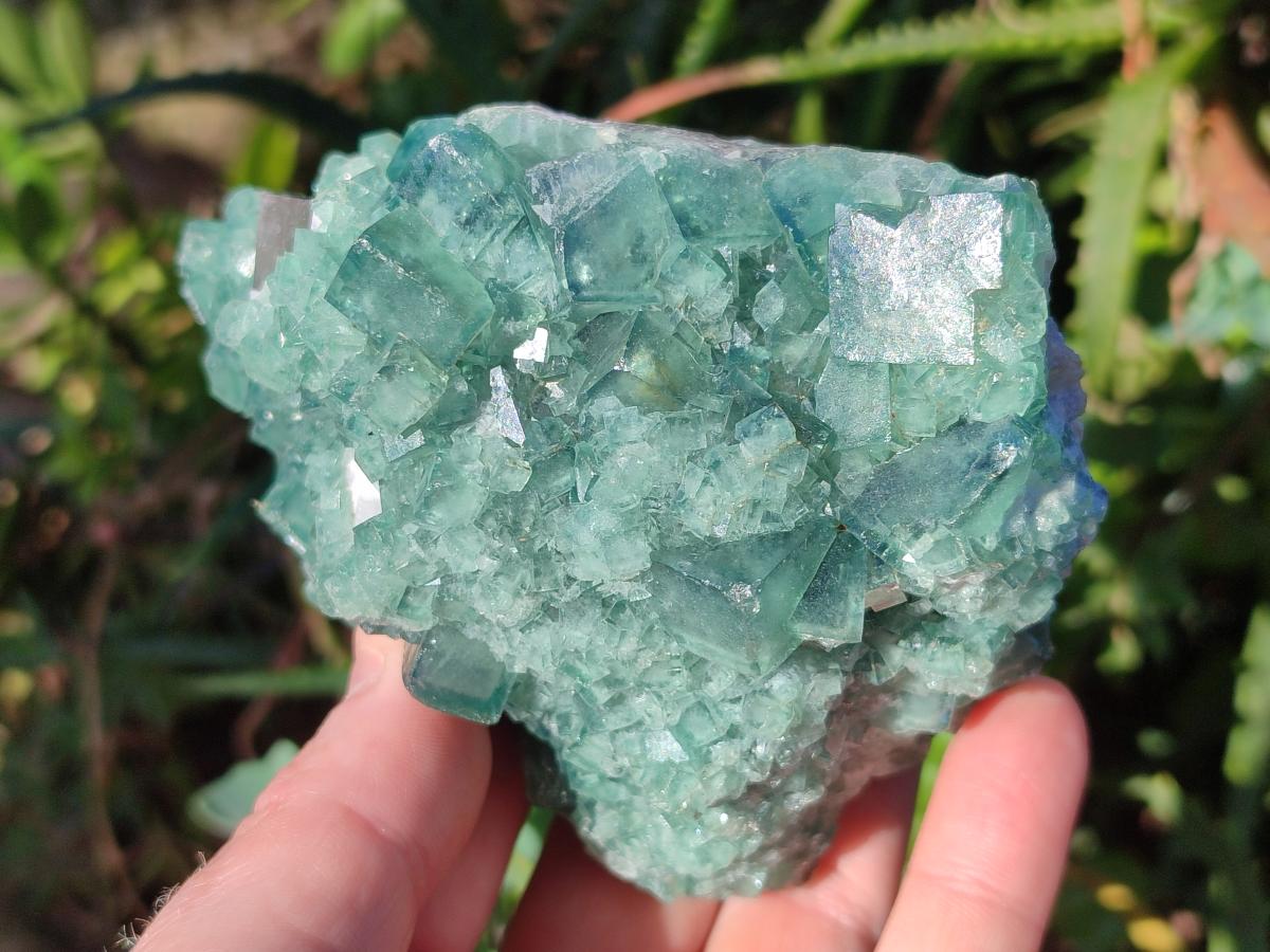 Natural Green Cubic Fluorite Specimens x 4 From Mandrosonoro, Madagascar - Toprock Gemstones and Minerals 