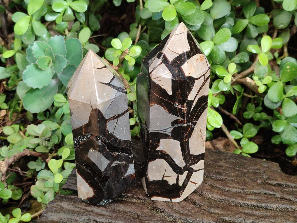Polished Septerye Sauvage "Dragons Display Crystals" x 2 From Mahajanga, Madagascar - Toprock Gemstones and Minerals 
