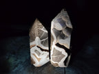 Polished Septerye Sauvage "Dragons Display Crystals" x 2 From Mahajanga, Madagascar - Toprock Gemstones and Minerals 
