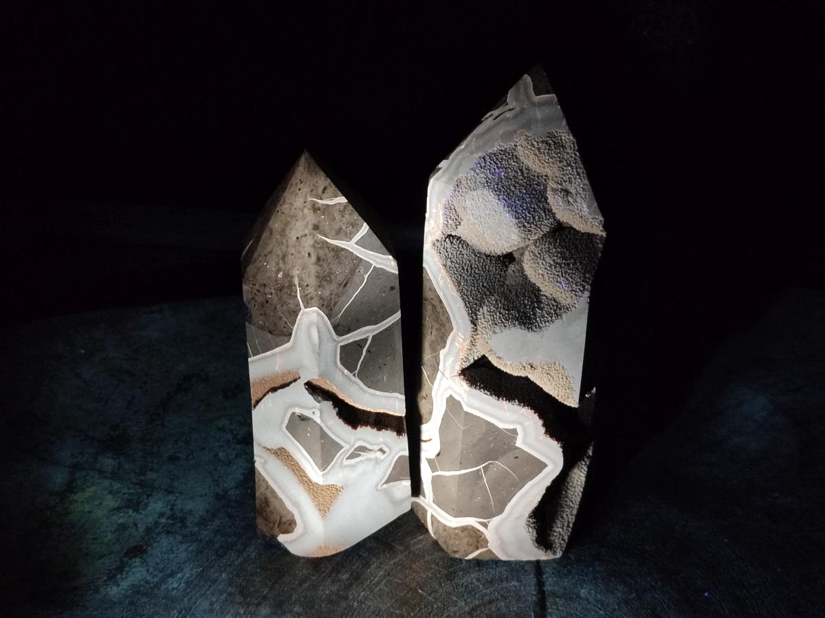 Polished Septerye Sauvage "Dragons Display Crystals" x 2 From Mahajanga, Madagascar - Toprock Gemstones and Minerals 