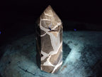 Polished Septerye Sauvage "Dragons Display Crystals" x 2 From Mahajanga, Madagascar - Toprock Gemstones and Minerals 