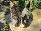 Polished Septerye Sauvage "Dragons Display Crystals" x 2 From Mahajanga, Madagascar - Toprock Gemstones and Minerals 