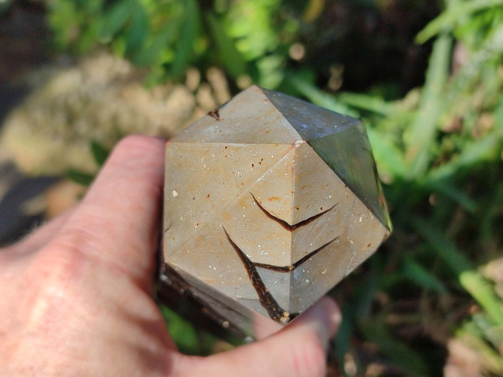Polished Septerye Sauvage "Dragons Display Crystals" x 2 From Mahajanga, Madagascar - Toprock Gemstones and Minerals 