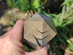 Polished Septerye Sauvage "Dragons Display Crystals" x 2 From Mahajanga, Madagascar - Toprock Gemstones and Minerals 