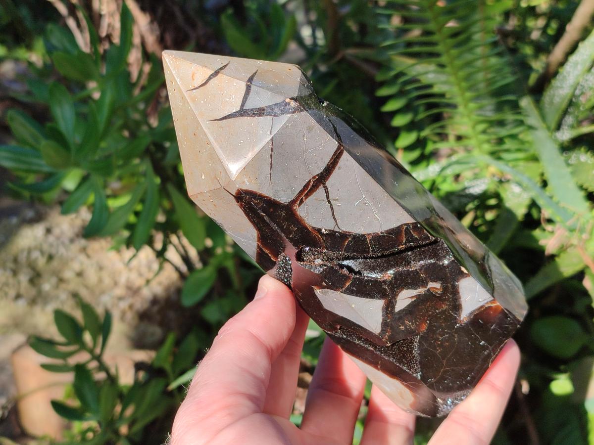 Polished Septerye Sauvage "Dragons Display Crystals" x 2 From Mahajanga, Madagascar - Toprock Gemstones and Minerals 