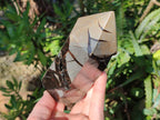 Polished Septerye Sauvage "Dragons Display Crystals" x 2 From Mahajanga, Madagascar - Toprock Gemstones and Minerals 