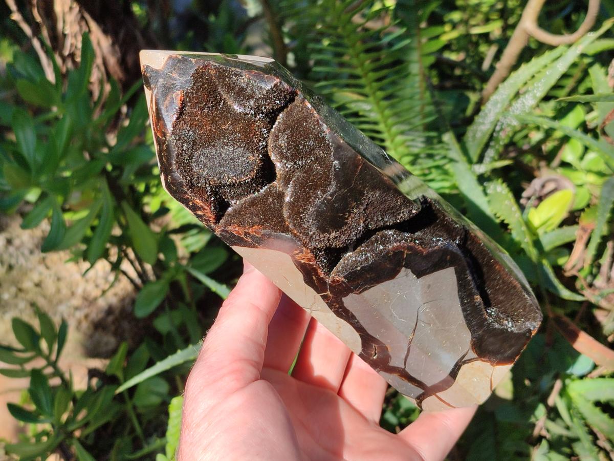 Polished Septerye Sauvage "Dragons Display Crystals" x 2 From Mahajanga, Madagascar - Toprock Gemstones and Minerals 