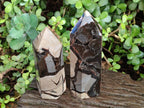 Polished Septerye Sauvage "Dragons Display Crystals" x 2 From Mahajanga, Madagascar - Toprock Gemstones and Minerals 