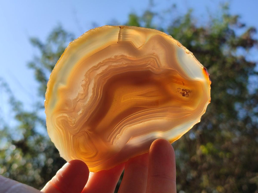 Polished Banded Agate Slices x 12 From Madagascar - Toprock Gemstones and Minerals 