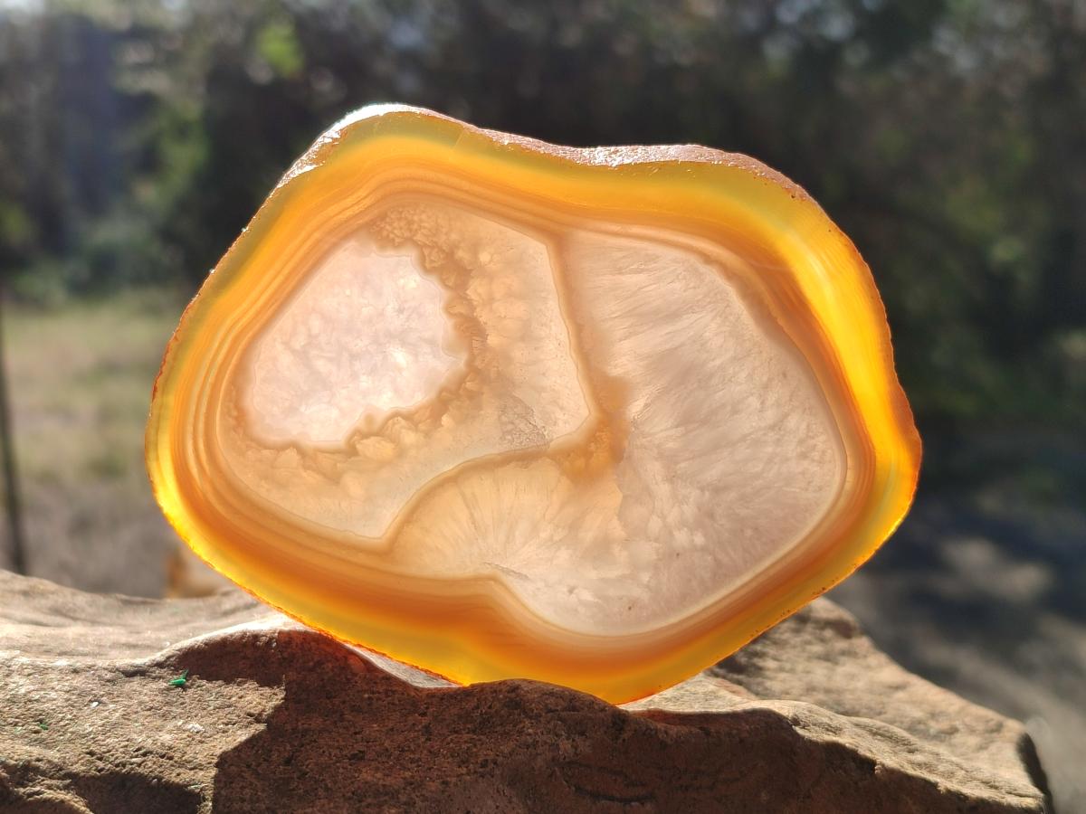 Polished Banded Agate Slices x 12 From Madagascar - Toprock Gemstones and Minerals 