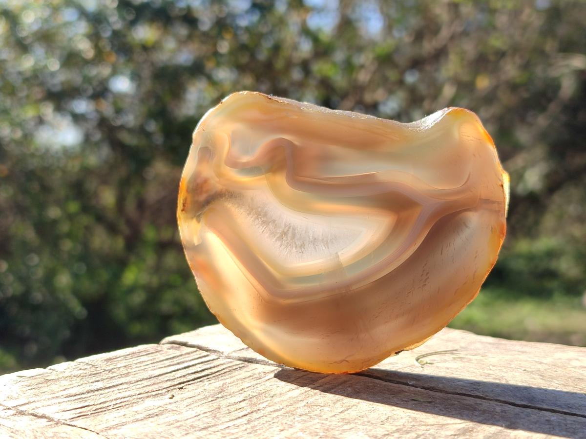 Polished Banded Agate Slices x 12 From Madagascar - Toprock Gemstones and Minerals 