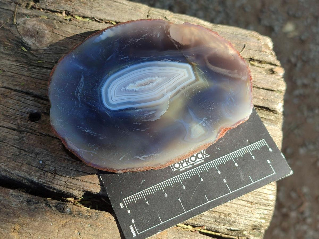 Polished Banded Agate Slices x 12 From Madagascar - Toprock Gemstones and Minerals 