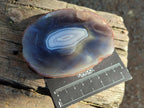 Polished Banded Agate Slices x 12 From Madagascar - Toprock Gemstones and Minerals 