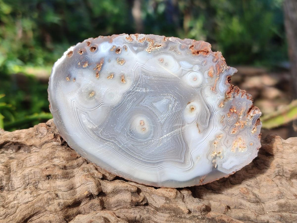 Polished Banded Agate Slices x 12 From Madagascar - Toprock Gemstones and Minerals 