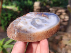Polished Banded Agate Slices x 12 From Madagascar - Toprock Gemstones and Minerals 