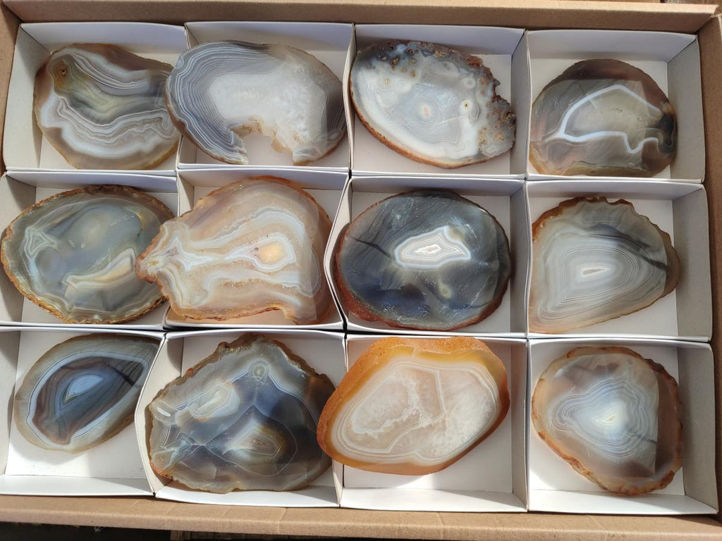 Polished Banded Agate Slices x 12 From Madagascar - Toprock Gemstones and Minerals 