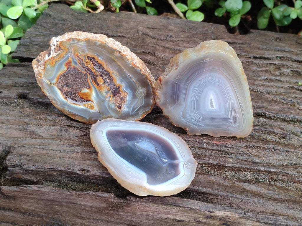 Polished Banded Agate Slices x 12 From Madagascar - Toprock Gemstones and Minerals 
