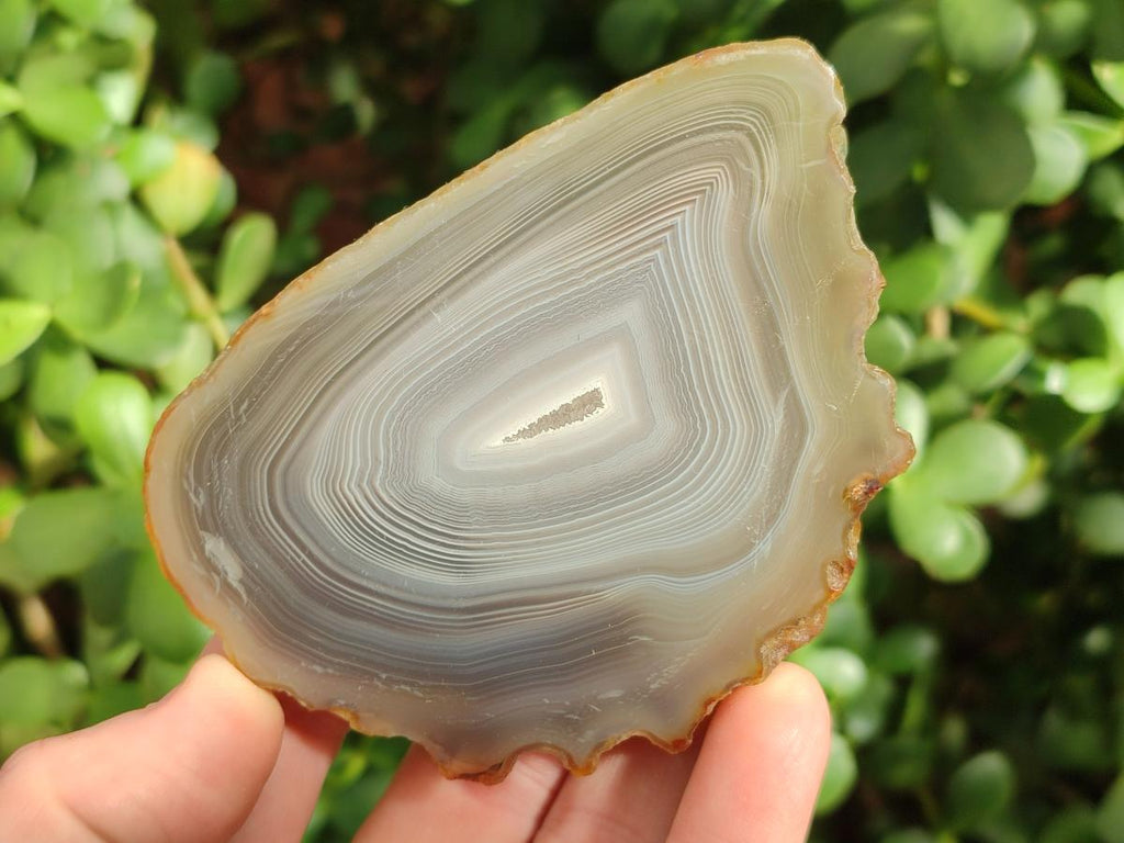 Polished Banded Agate Slices x 12 From Madagascar - Toprock Gemstones and Minerals 