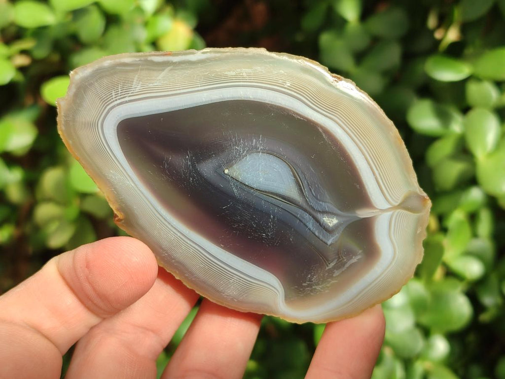 Polished Banded Agate Slices x 12 From Madagascar - Toprock Gemstones and Minerals 