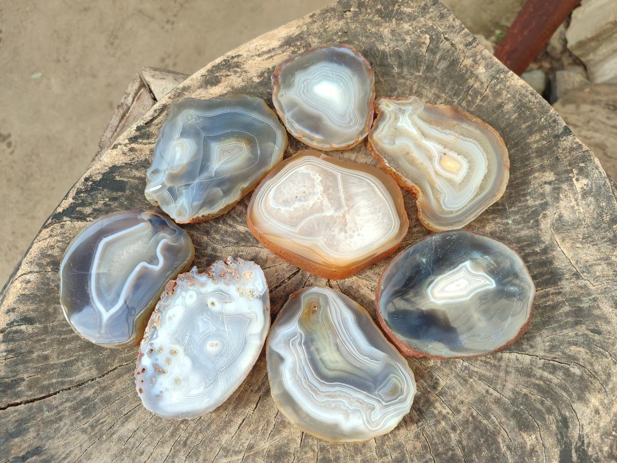 Polished Banded Agate Slices x 12 From Madagascar - Toprock Gemstones and Minerals 