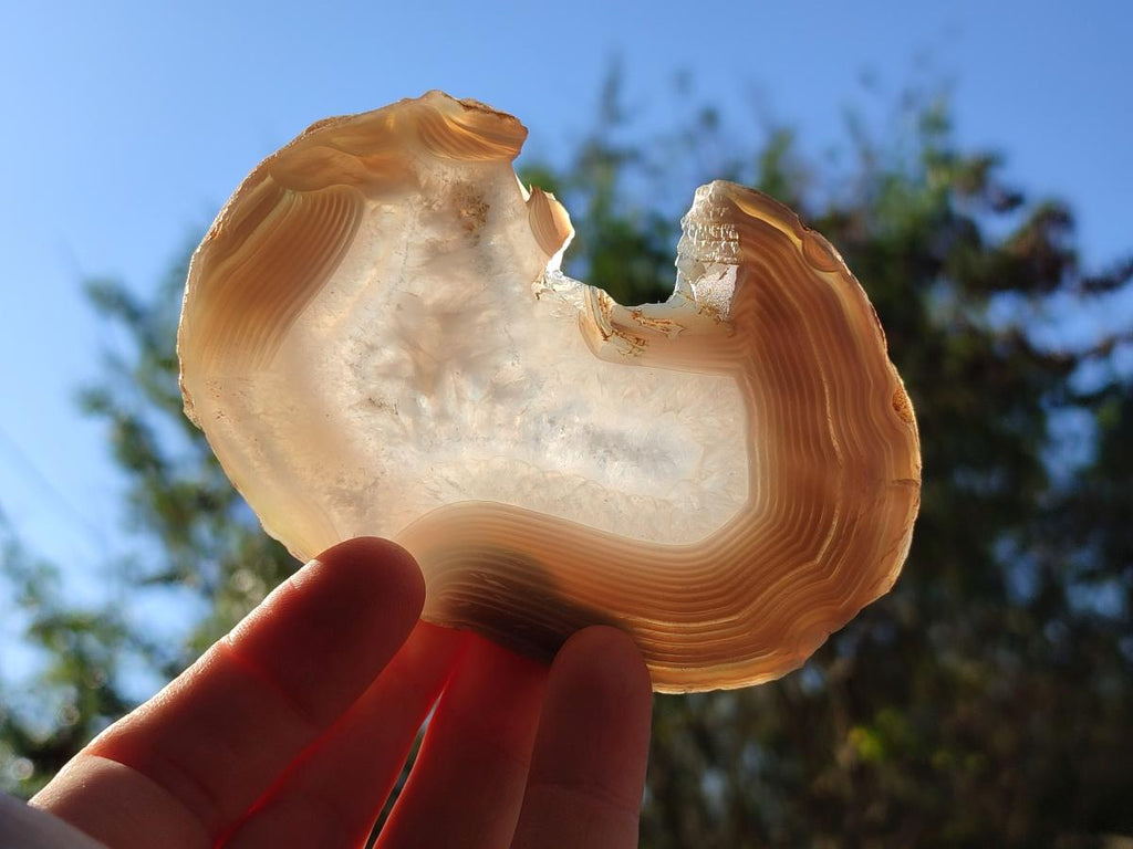 Polished Banded Agate Slices x 12 From Madagascar - Toprock Gemstones and Minerals 