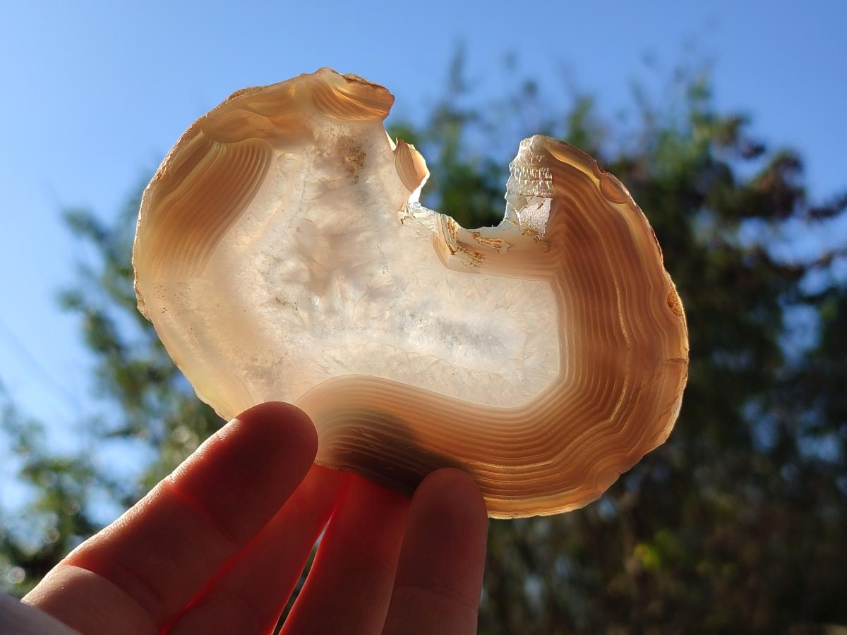 Polished Banded Agate Slices x 12 From Madagascar - Toprock Gemstones and Minerals 