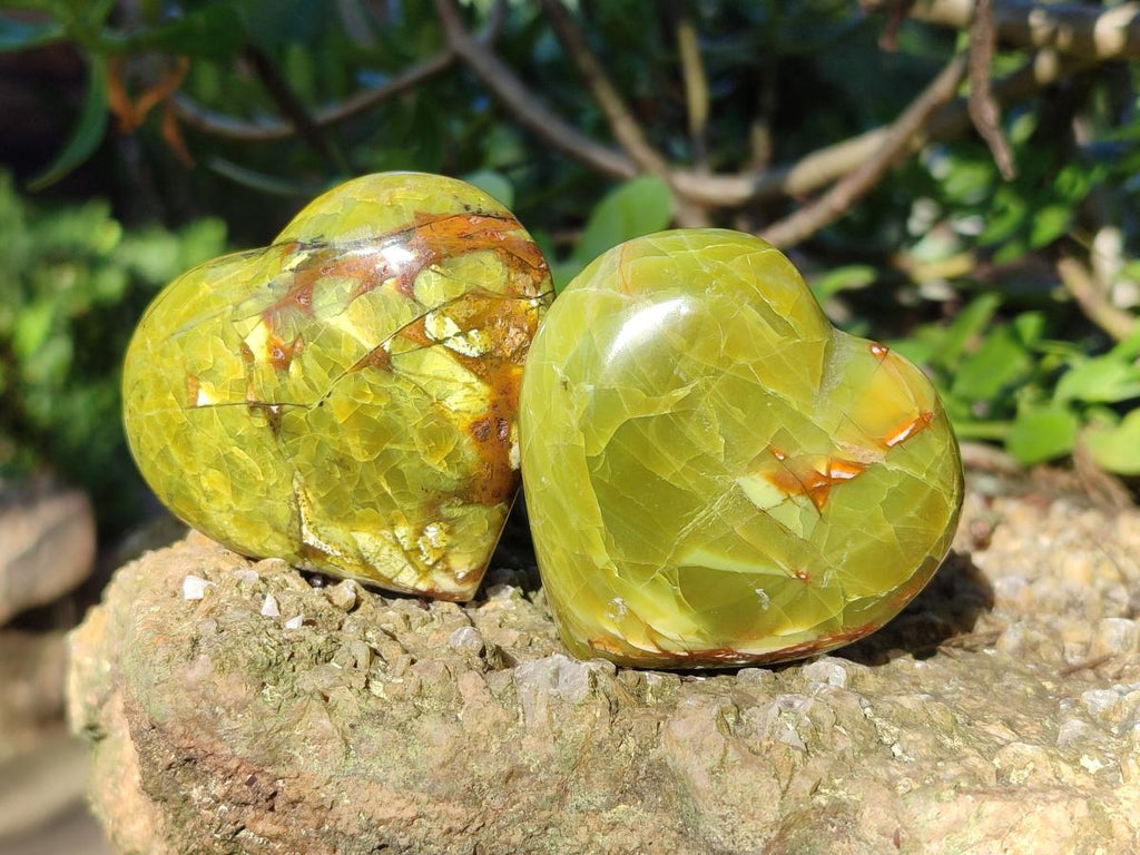 Polished Green Opal Hearts x 12 From Betroka, Madagascar - Toprock Gemstones and Minerals 