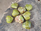 Polished Green Opal Hearts x 12 From Betroka, Madagascar - Toprock Gemstones and Minerals 