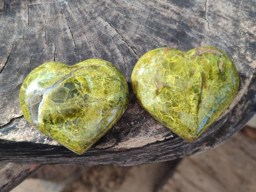 Polished Green Opal Hearts x 12 From Betroka, Madagascar - Toprock Gemstones and Minerals 