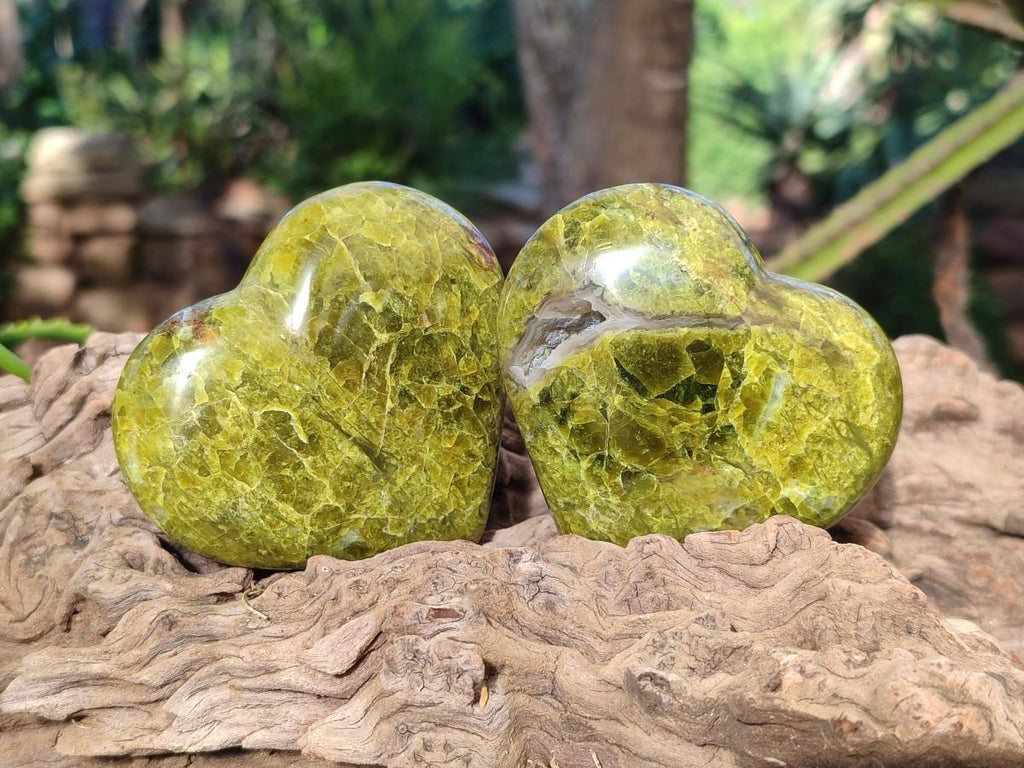 Polished Green Opal Hearts x 12 From Betroka, Madagascar - Toprock Gemstones and Minerals 