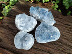Natural Blue Celestite Specimens x 17 From Sakoany, Madagascar - Toprock Gemstones and Minerals 