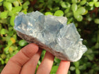 Natural Blue Celestite Specimens x 17 From Sakoany, Madagascar - Toprock Gemstones and Minerals 