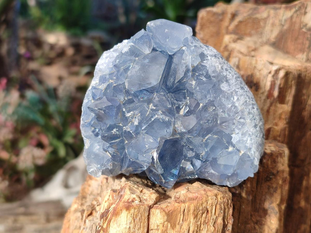 Natural Blue Celestite Specimens x 17 From Sakoany, Madagascar - Toprock Gemstones and Minerals 