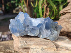 Natural Blue Celestite Specimens x 17 From Sakoany, Madagascar - Toprock Gemstones and Minerals 