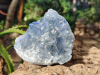Natural Blue Celestite Specimens x 17 From Sakoany, Madagascar - Toprock Gemstones and Minerals 