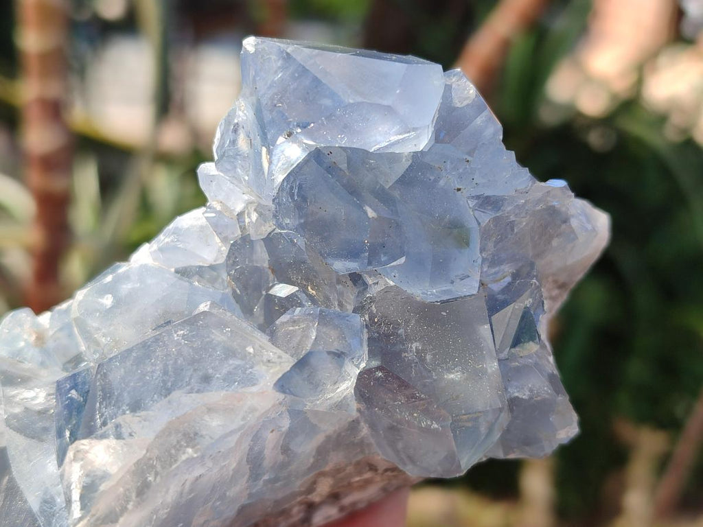 Natural Blue Celestite Specimens x 17 From Sakoany, Madagascar - Toprock Gemstones and Minerals 